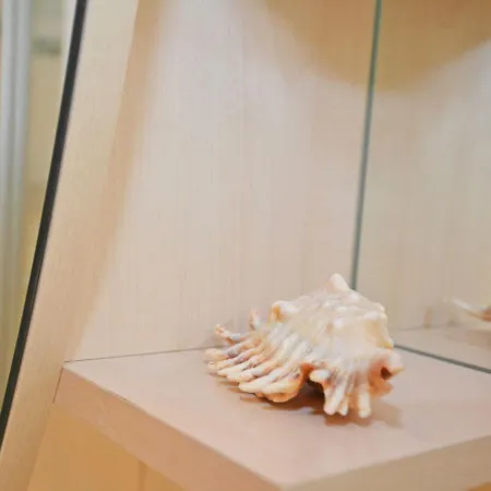 Lägenhet Haus Mowe - Apt. 06 *